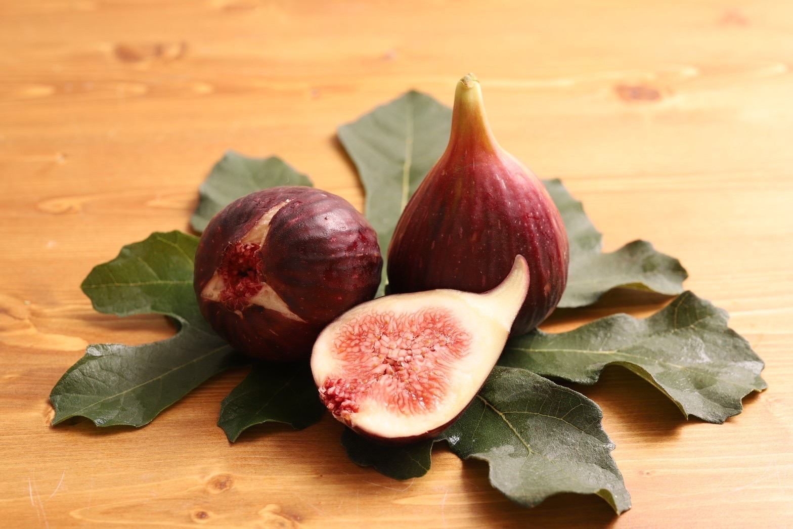 市川農園の完熟いちじく | 海老名の美味しい果物なら「市川農園」